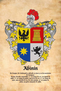 Escudo heráldico del apellido Abinin