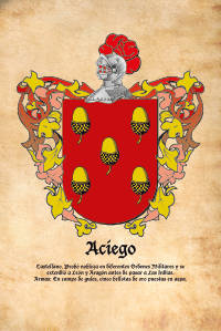 Escudo heráldico del apellido ACIEGO