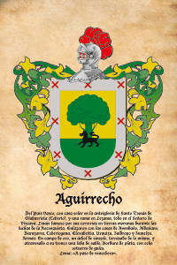 Escudo heráldico del apellido AGUIRRECHO