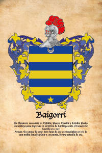 Escudo heráldico del apellido BAIGORRI