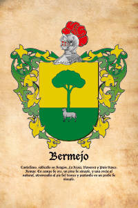 Escudo heráldico del apellido BERMEJO
