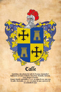 Escudo heráldico del apellido CALLE