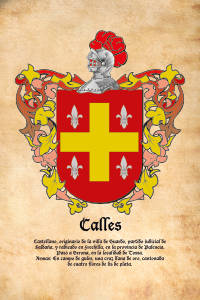 Escudo heráldico del apellido CALLES