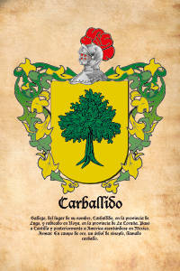 Escudo heráldico del apellido CARBALLIDO
