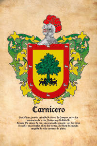 Escudo heráldico del apellido CARNICERO