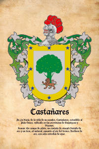 Escudo heráldico del apellido CASTAÑARES