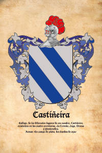 Escudo heráldico del apellido CASTIÑEIRA
