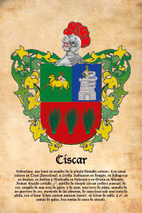 Escudo heráldico del apellido CISCAR