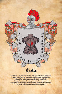 Escudo heráldico del apellido COTA