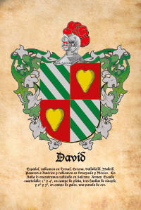 Escudo heráldico del apellido DAVID
