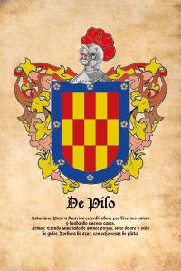 Escudo heráldico del apellido DE PILO