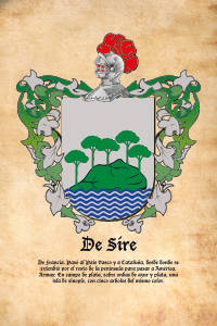 Escudo heráldico del apellido DE SIRE