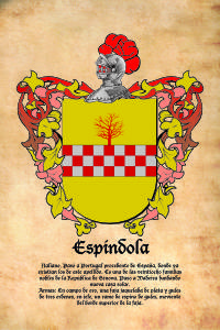 Escudo heráldico del apellido ESPINDOLA