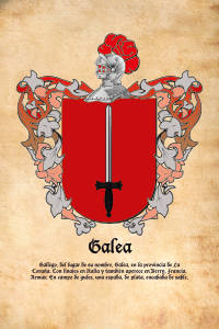 Escudo heráldico del apellido GALEA