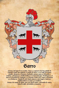 Escudo heráldico del apellido GARRO