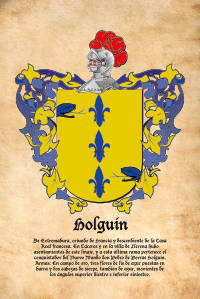Escudo heráldico del apellido HOLGUIN