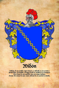 Escudo heráldico del apellido MIDÓN