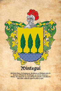 Escudo heráldico del apellido MINTEGUI