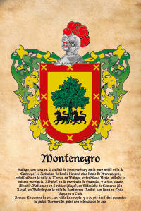Escudo heráldico del apellido MONTENEGRO