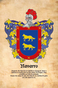 Escudo heráldico del apellido NAVARRO