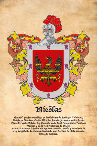 Escudo heráldico del apellido NIEBLAS