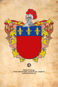 Escudo heráldico del apellido O