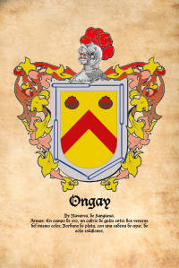 Escudo heráldico del apellido ONGAY