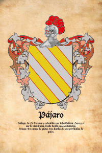 Escudo heráldico del apellido PÁJARO
