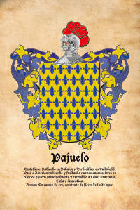 Escudo heráldico del apellido PAJUELO