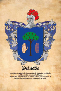 Escudo heráldico del apellido PEINADO