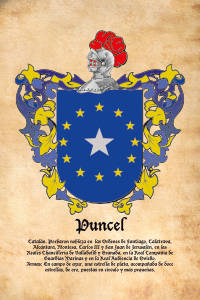 Escudo heráldico del apellido PUNCEL