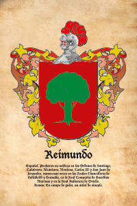 Escudo heráldico del apellido REIMUNDO