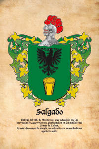 Escudo heráldico del apellido SALGADO