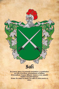 Escudo heráldico del apellido Salí