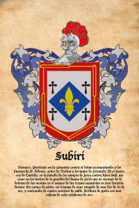 Escudo heráldico del apellido SUBIRI