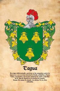 Escudo heráldico del apellido TAGUA