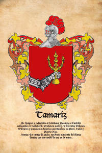 Escudo heráldico del apellido TAMARIZ