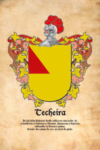 Escudo heráldico del apellido Techeira
