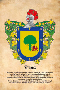 Escudo heráldico del apellido TENA