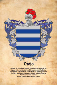 Escudo heráldico del apellido VIOJO