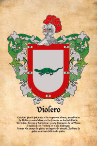 Escudo heráldico del apellido VIOLERO
