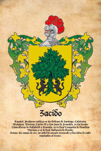 Escudo heráldico del apellido ZACIDO
