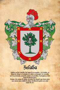 Escudo heráldico del apellido ZELADA