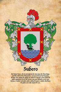 Escudo heráldico del apellido ZUBERO