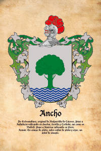 Escudo heráldico del apellido ANCHO