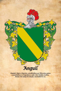 Escudo heráldico del apellido ANGUIL