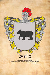 Escudo heráldico del apellido BERING