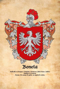 Escudo heráldico del apellido Boneta