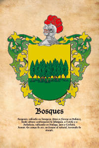 Escudo heráldico del apellido Bosques
