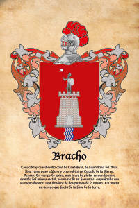 Escudo heráldico del apellido BRACHO